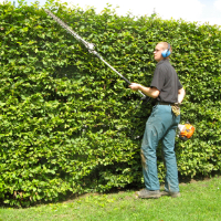 Garden Maintenance West Norwood